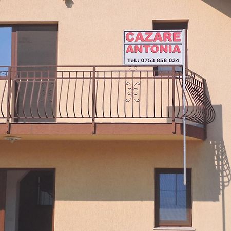 Cazare Antonia Curtea De Arges Exterior photo